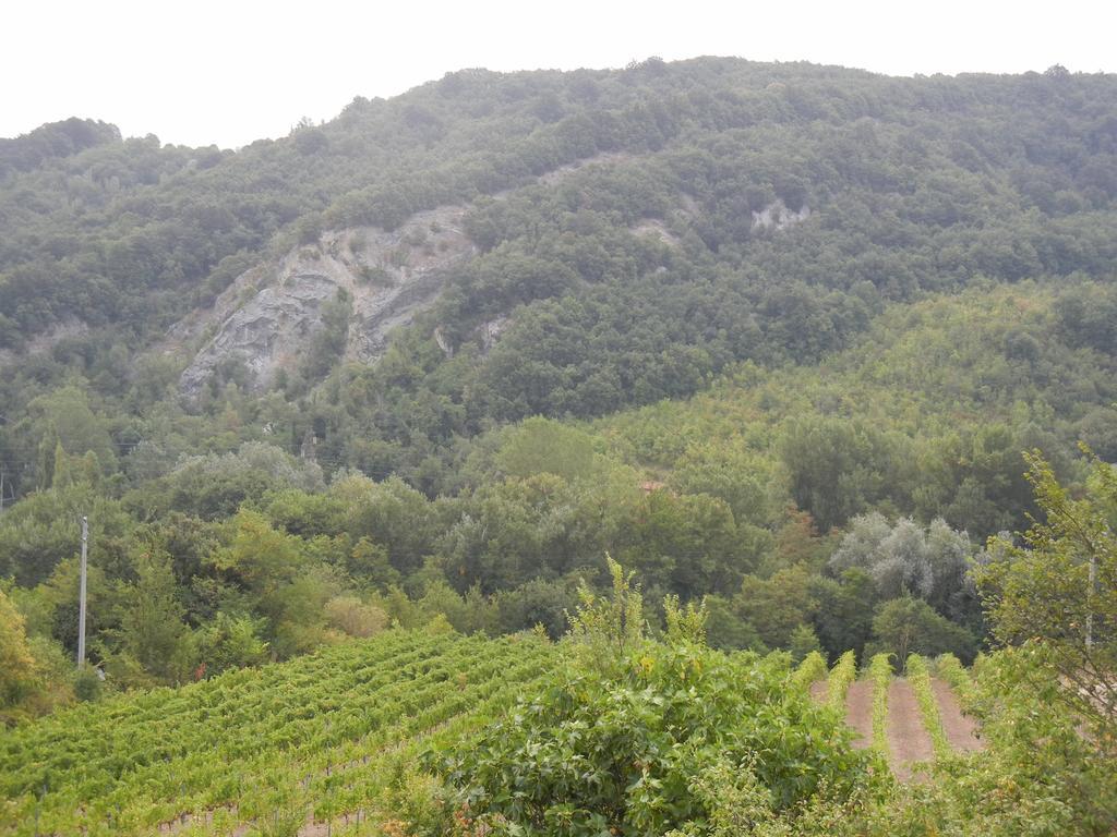 La Colombarola Agriturismo Farneto Екстериор снимка