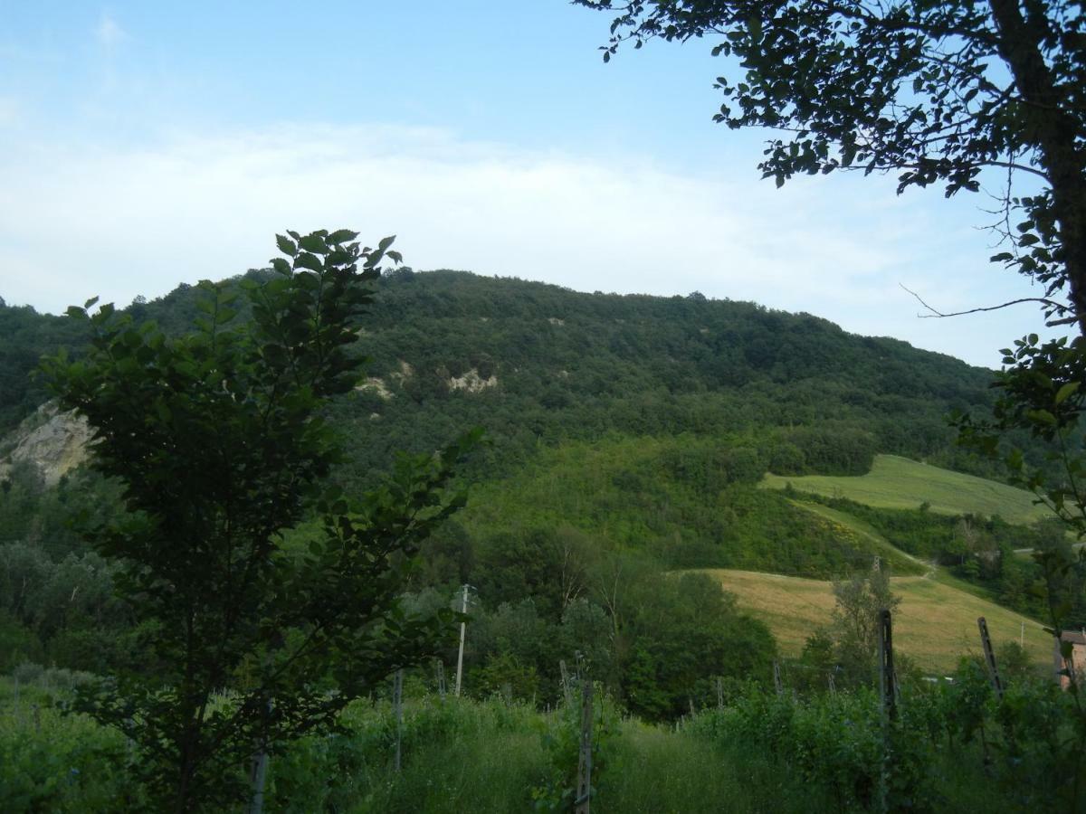 La Colombarola Agriturismo Farneto Екстериор снимка