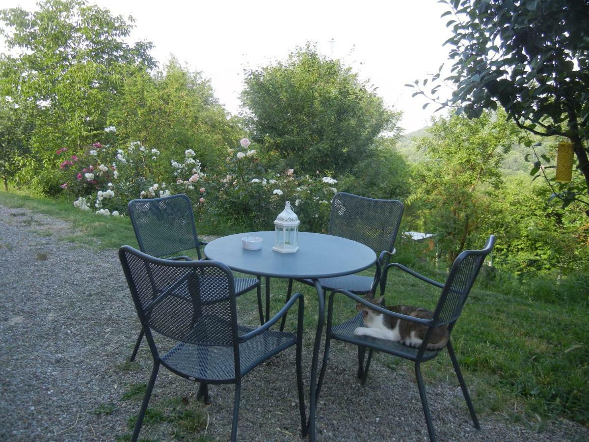 La Colombarola Agriturismo Farneto Екстериор снимка