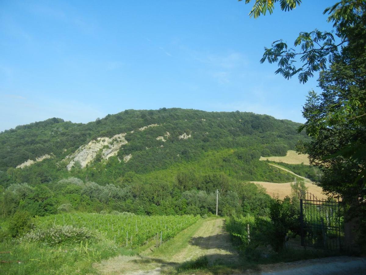La Colombarola Agriturismo Farneto Екстериор снимка